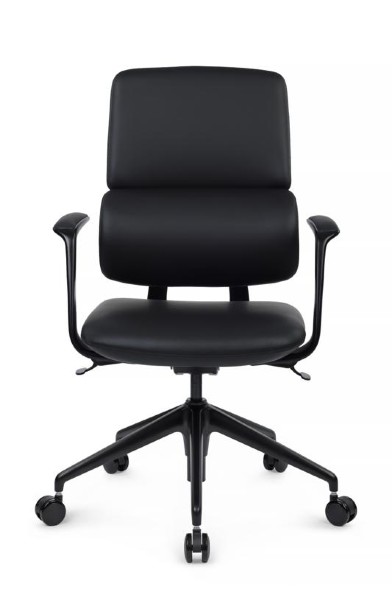 Кресло Avorio-M FK014-B12